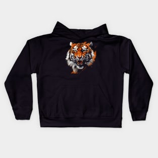 Tiger Head Painting Kids Hoodie